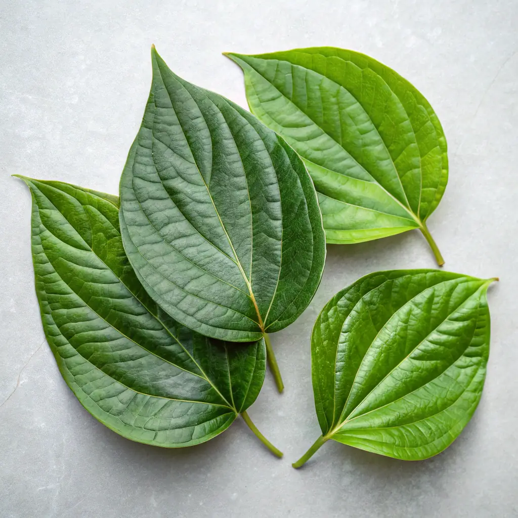 Stinging Nettle Fresh Leaves